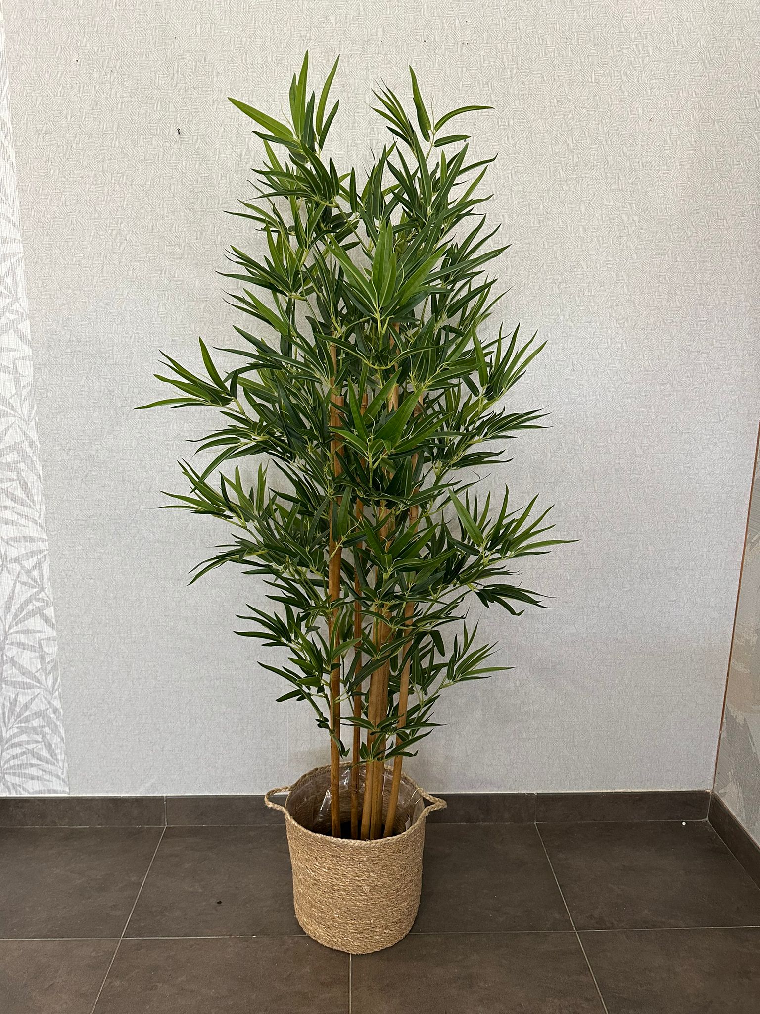 PLANTA BAMBU 157CM