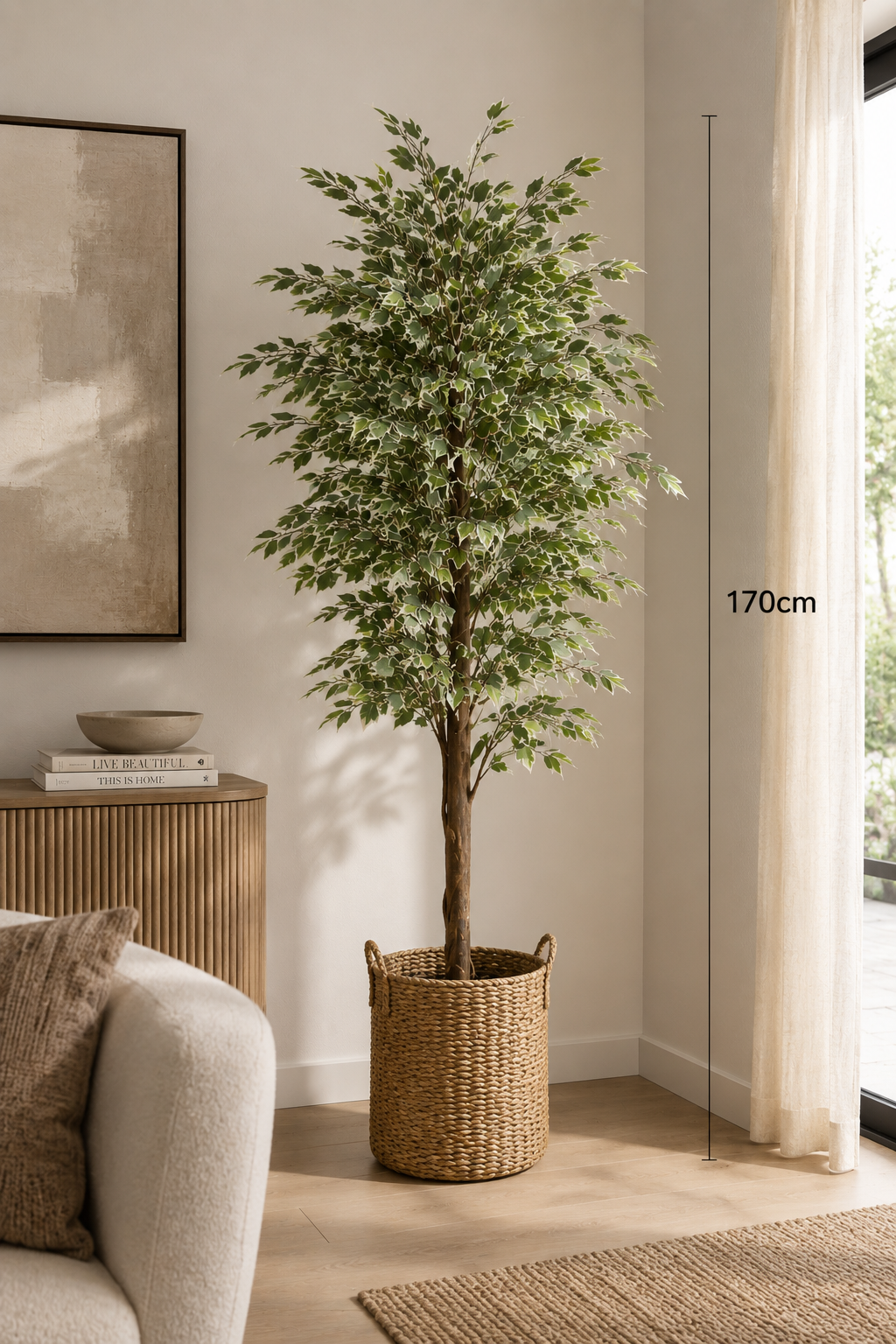 PLANTA FICUS 1,70m