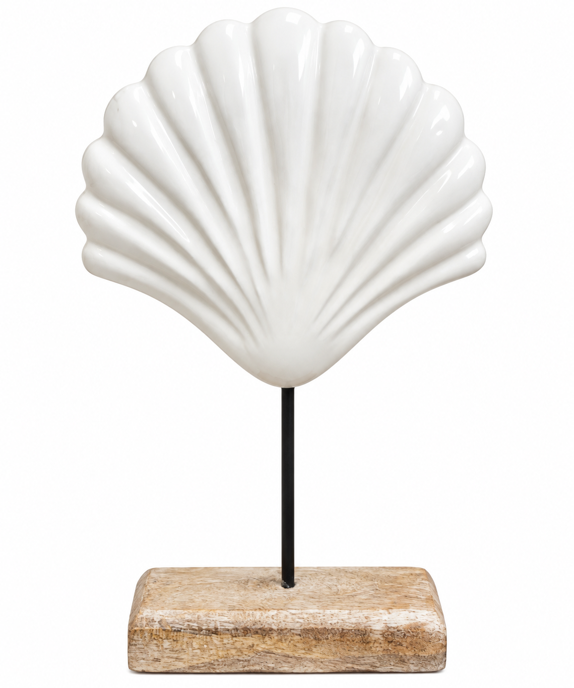 ESTATUETA CONCHA MANGO 17X5X29Cm