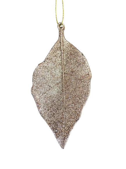 HOJA CHAMPÁN 13CM