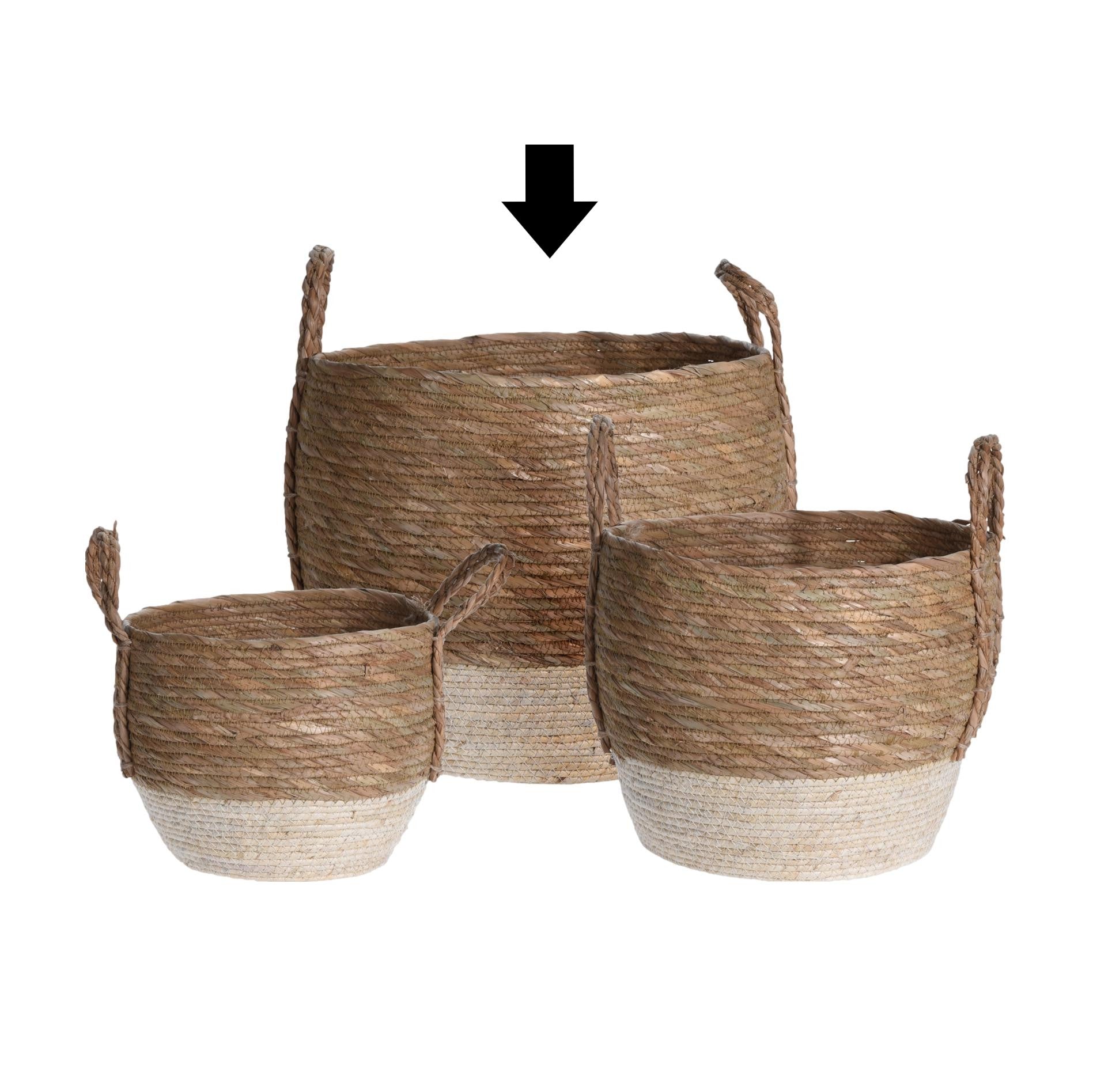 CESTO NATURAL 2 CORES