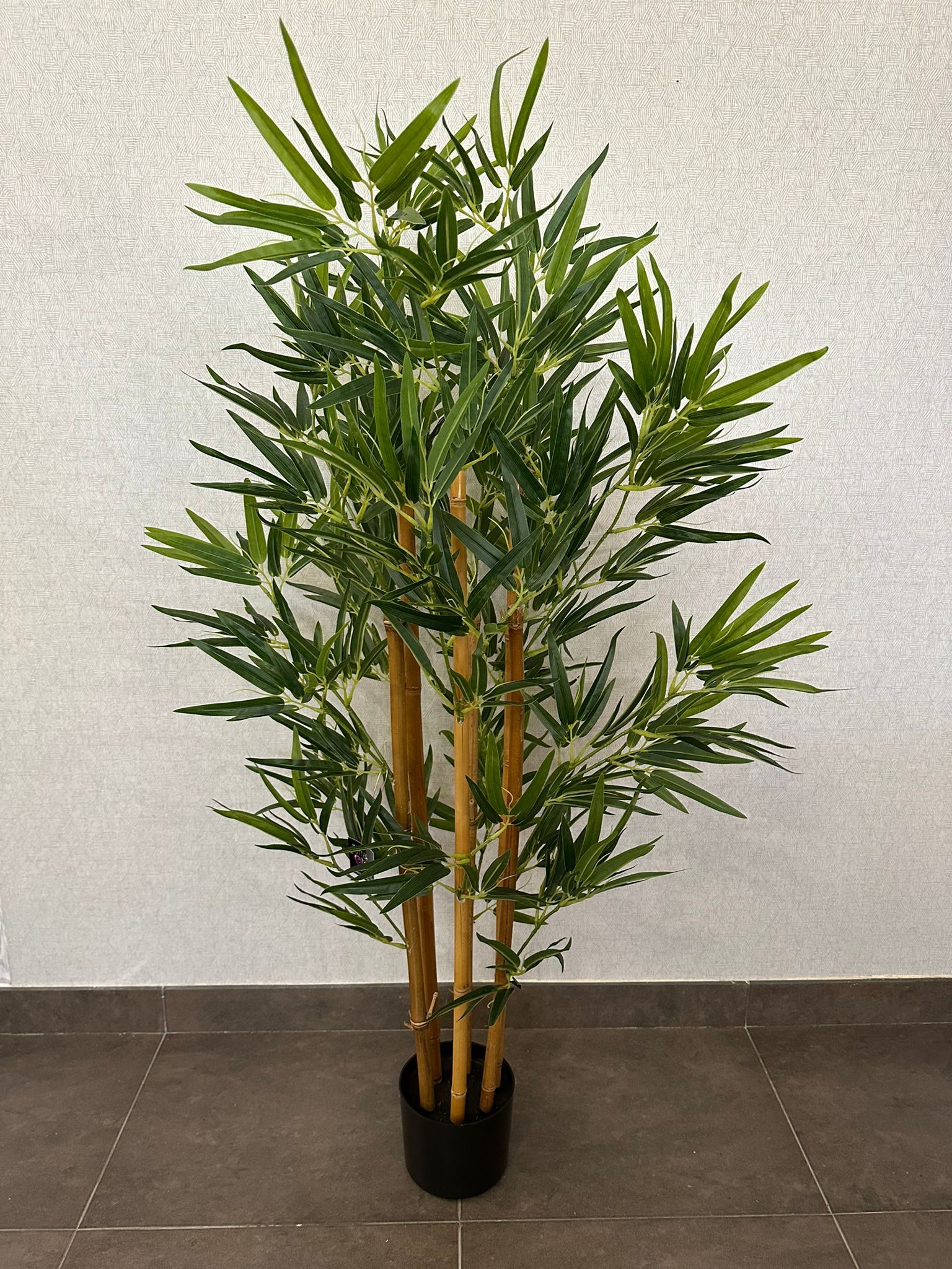 BAMBU 126CM