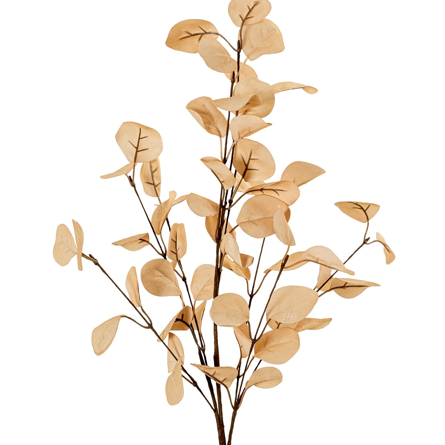 HASTE EUCALIPTO BEGE