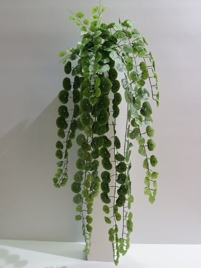 ARRASTRE VERDE