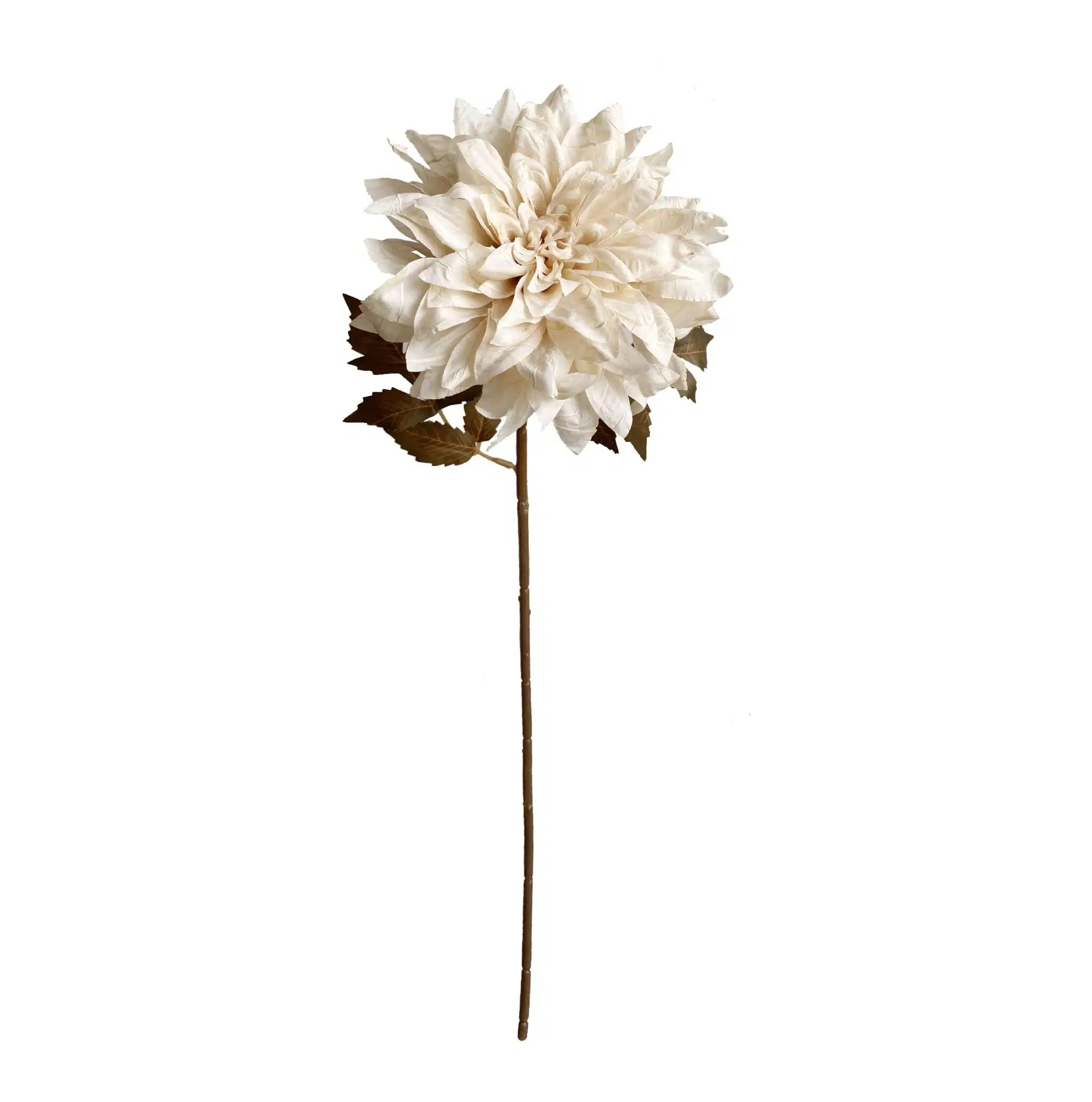 DALIA BEGE 58Cm