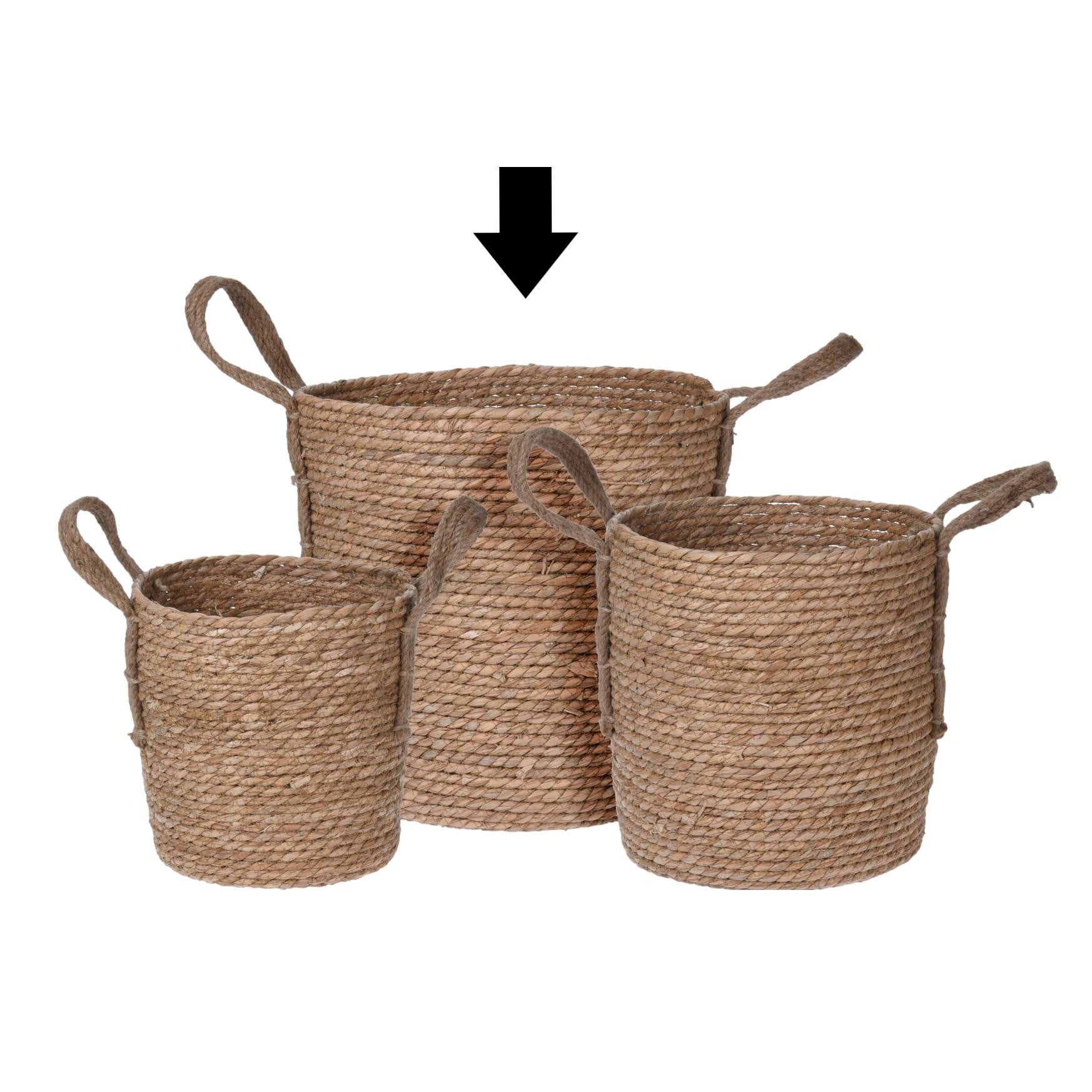 CESTO NATURAL