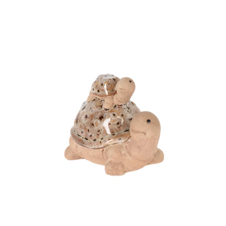 TORTUGA 11X7X9.5CM