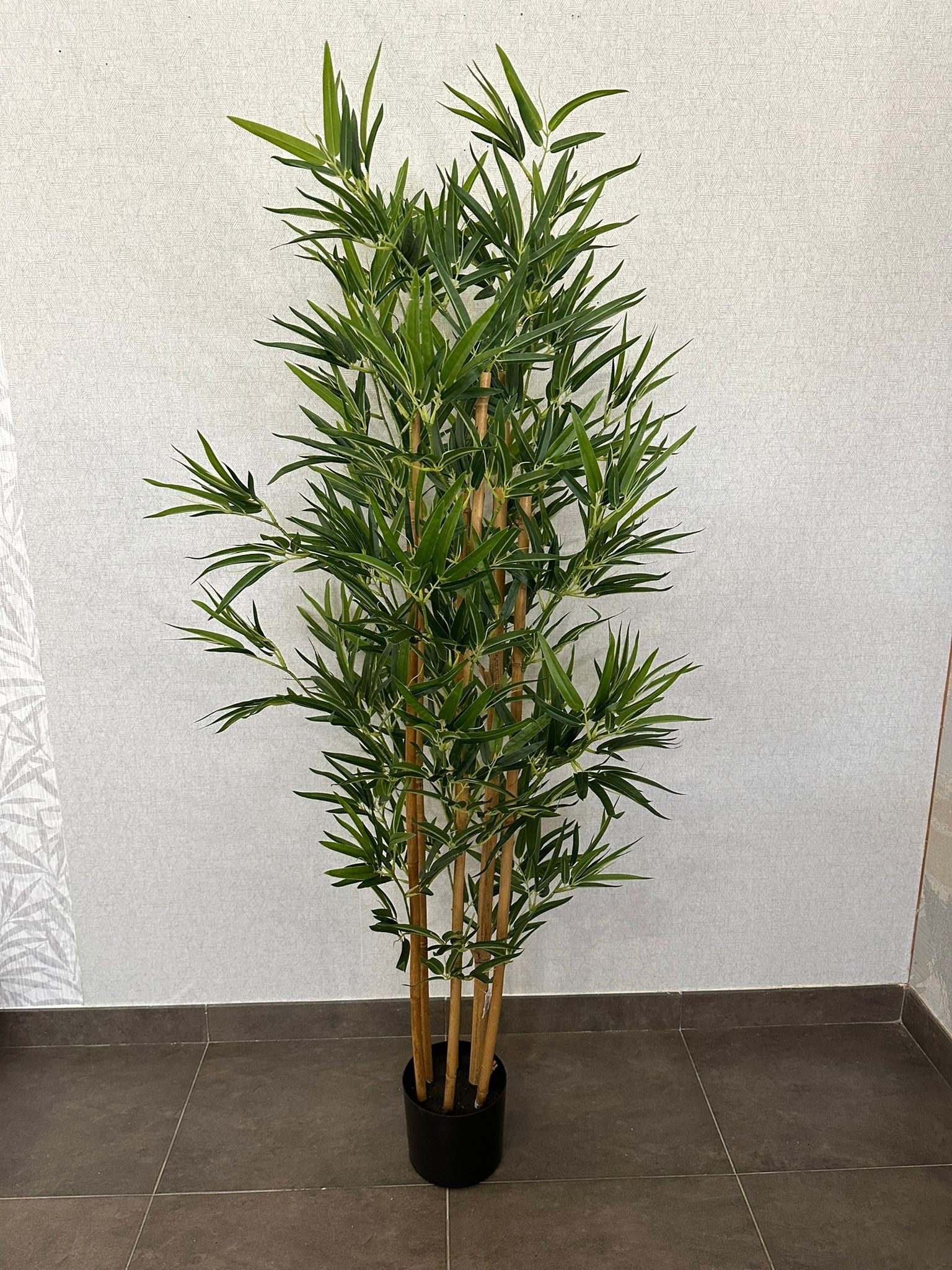 PLANTA BAMBU 157CM