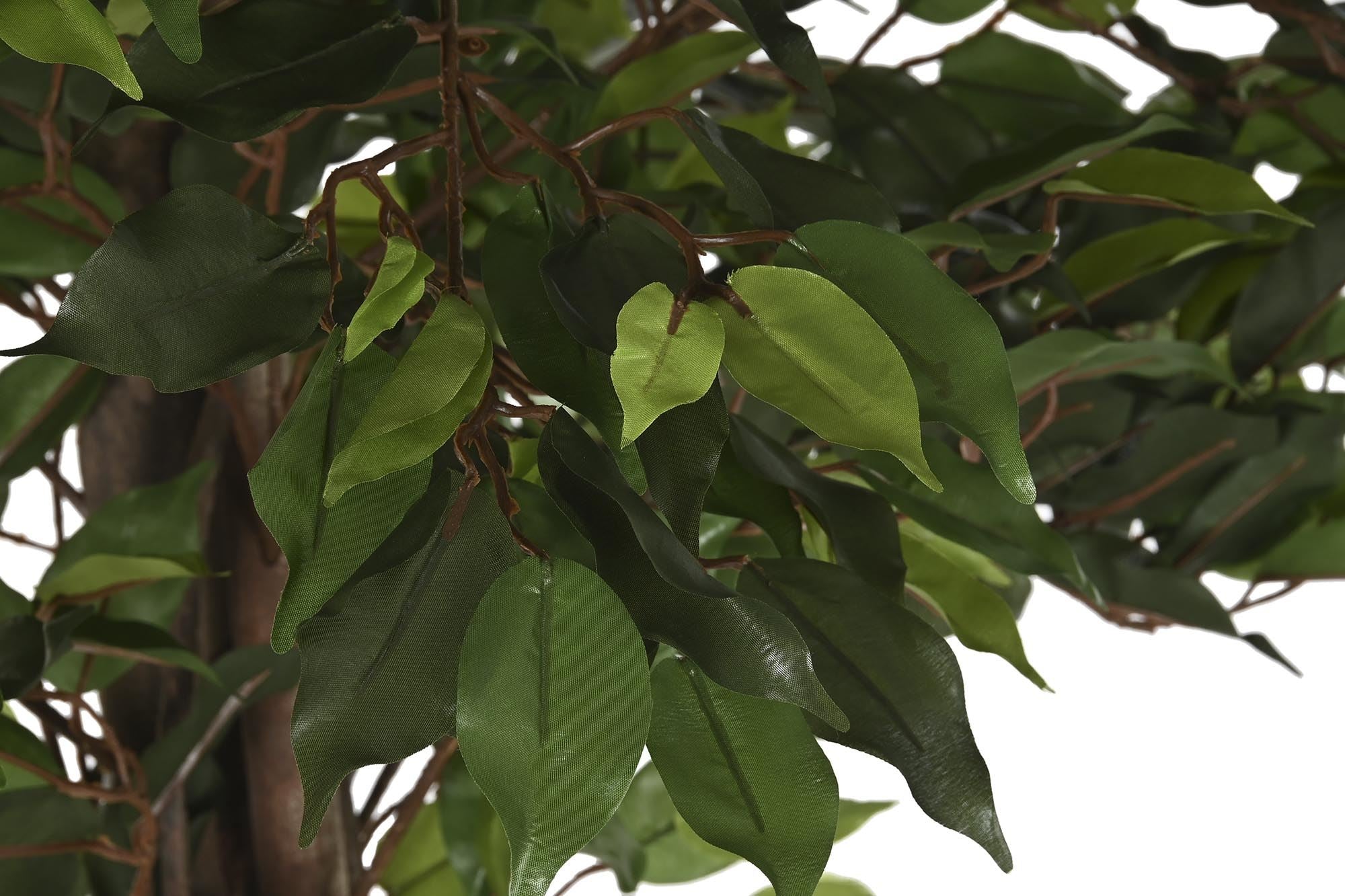 PLANTA FICUS 180CM